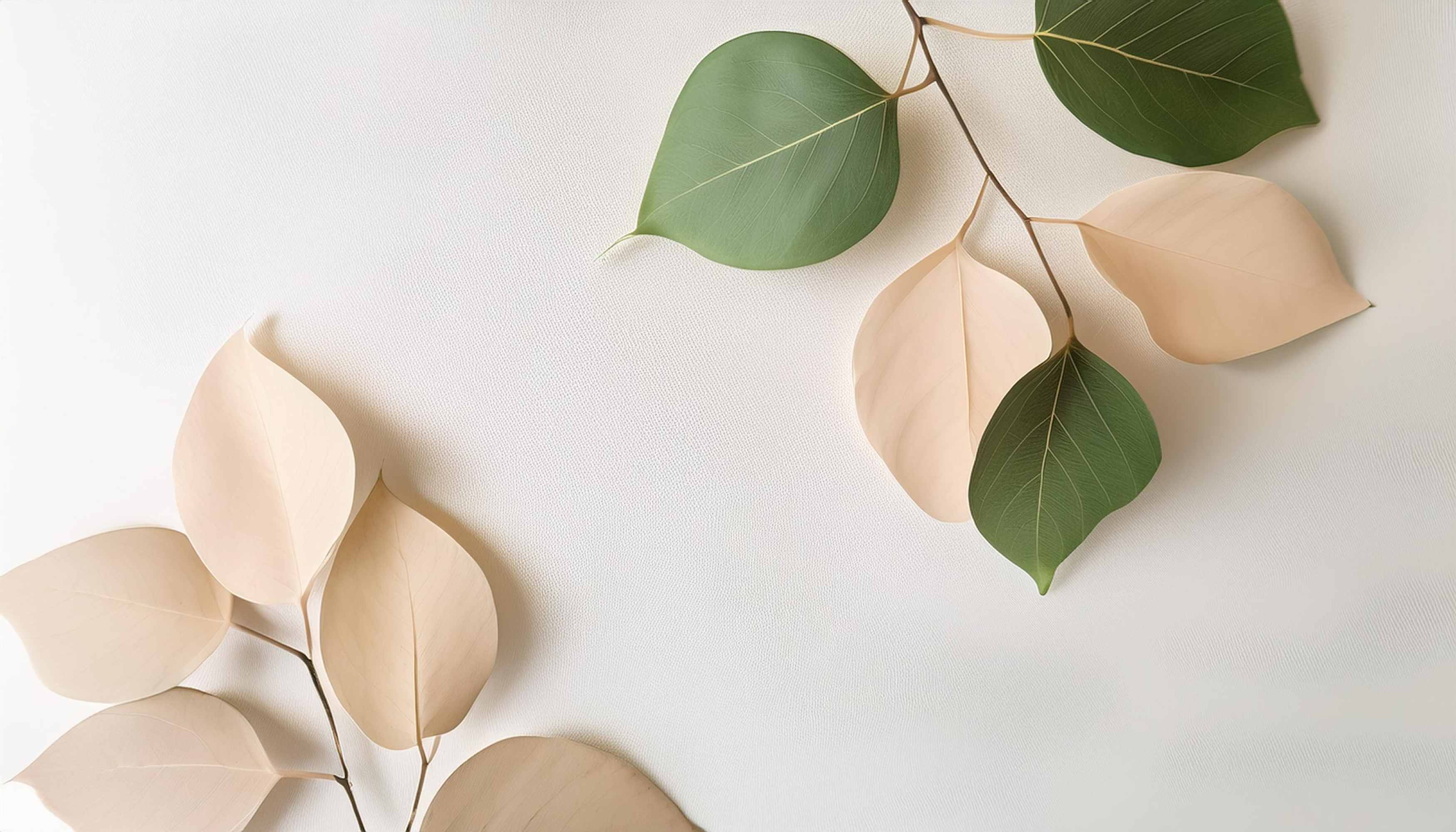 Бежевый с зелёным: гармония природы